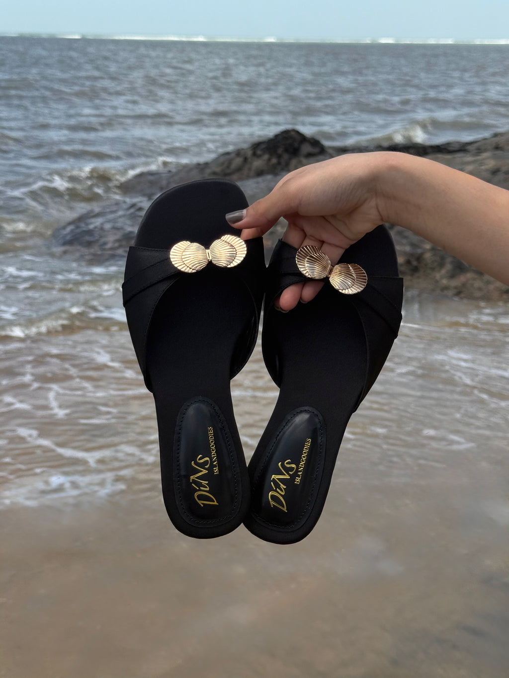SEASHELL SLIDES
